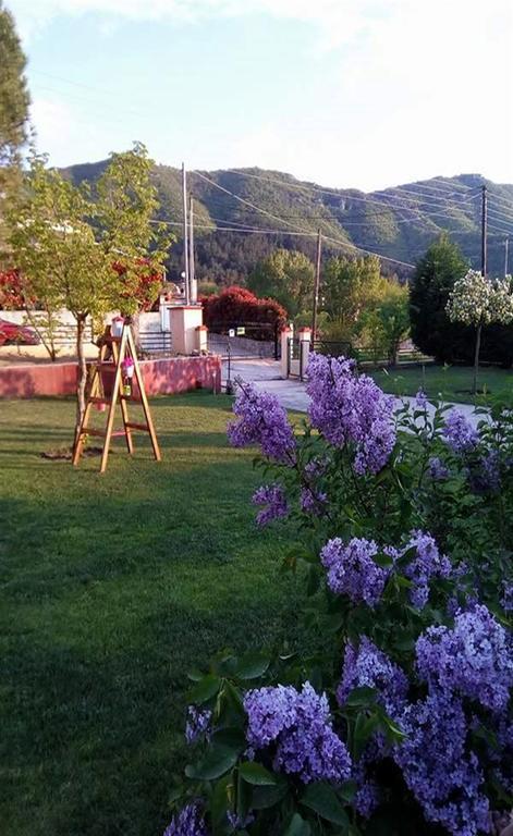 Kavala Villa 360 Degrees Green Amisianá Buitenkant foto